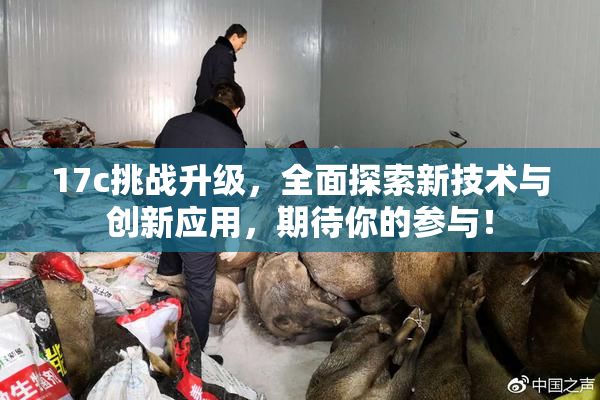17c挑战升级，全面探索新技术与创新应用，期待你的参与！