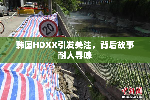 韩国HDXX引发关注，背后故事耐人寻味