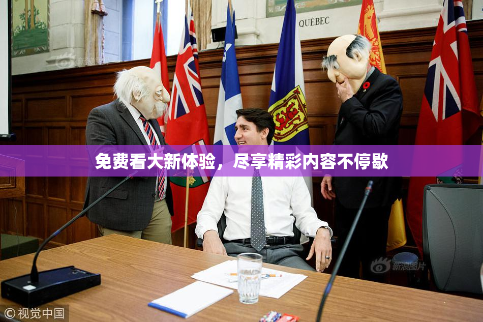 免费看大新体验，尽享精彩内容不停歇