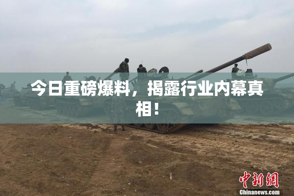 今日重磅爆料，揭露行业内幕真相！