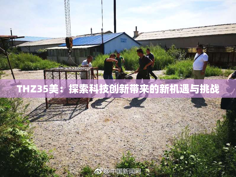 THZ35美：探索科技创新带来的新机遇与挑战
