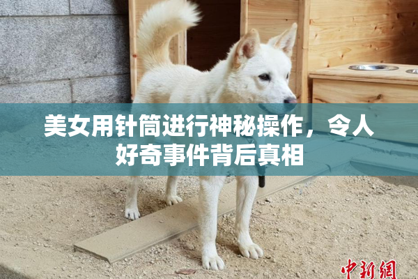 美女用针筒进行神秘操作，令人好奇事件背后真相