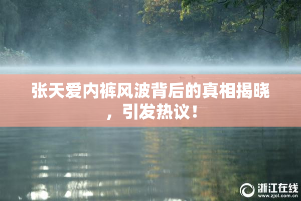 张天爱内裤风波背后的真相揭晓，引发热议！