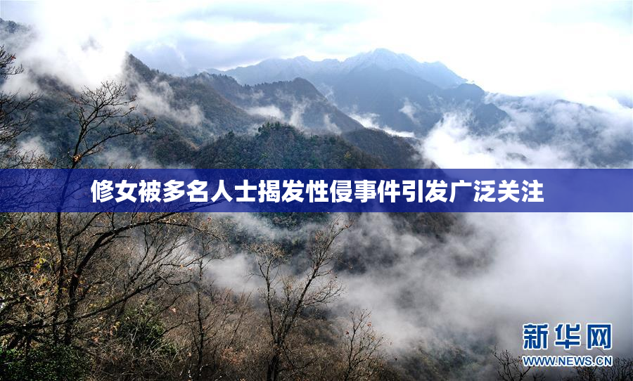 修女被多名人士揭发性侵事件引发广泛关注