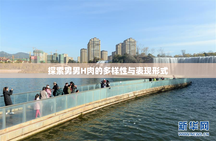 探索男男H肉的多样性与表现形式