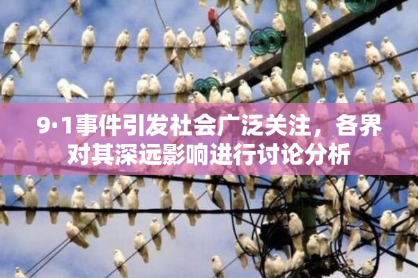 9·1事件引发社会广泛关注，各界对其深远影响进行讨论分析