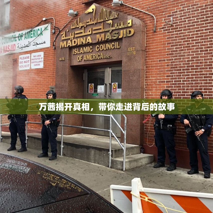 万茜揭开真相，带你走进背后的故事