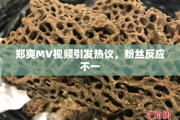 郑爽MV视频引发热议，粉丝反应不一