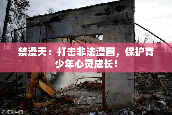 禁漫天：打击非法漫画，保护青少年心灵成长！