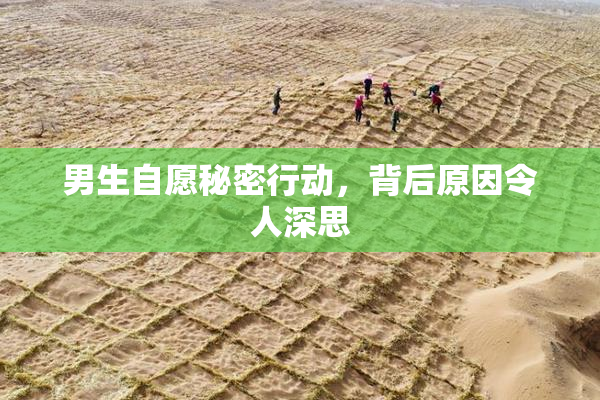 男生自愿秘密行动，背后原因令人深思