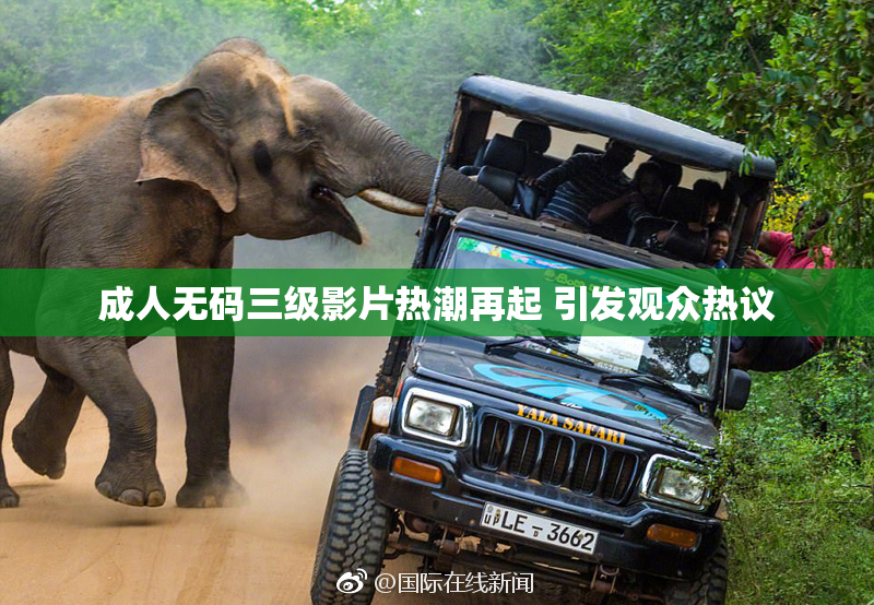成人无码三级影片热潮再起 引发观众热议