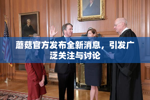 蘑菇官方发布全新消息，引发广泛关注与讨论