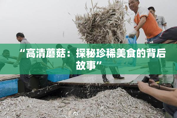 “高清蘑菇：探秘珍稀美食的背后故事”