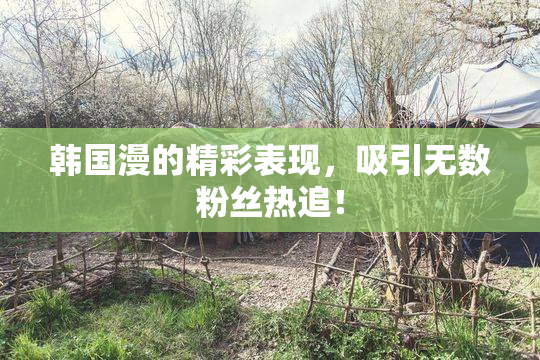 韩国漫的精彩表现，吸引无数粉丝热追！
