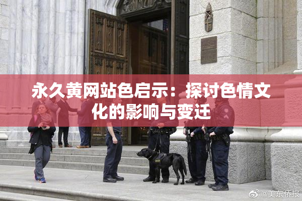 永久黄网站色启示：探讨色情文化的影响与变迁