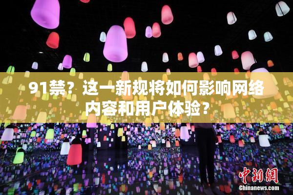 91禁？这一新规将如何影响网络内容和用户体验？