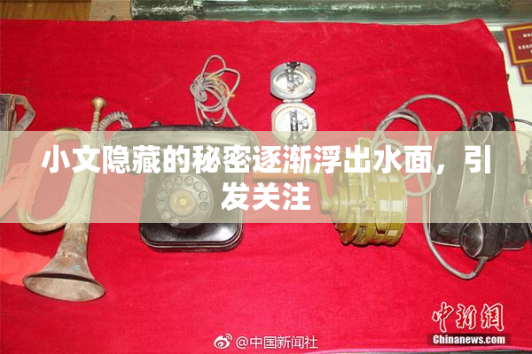 小文隐藏的秘密逐渐浮出水面，引发关注