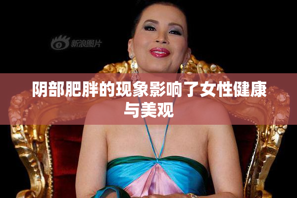 阴部肥胖的现象影响了女性健康与美观