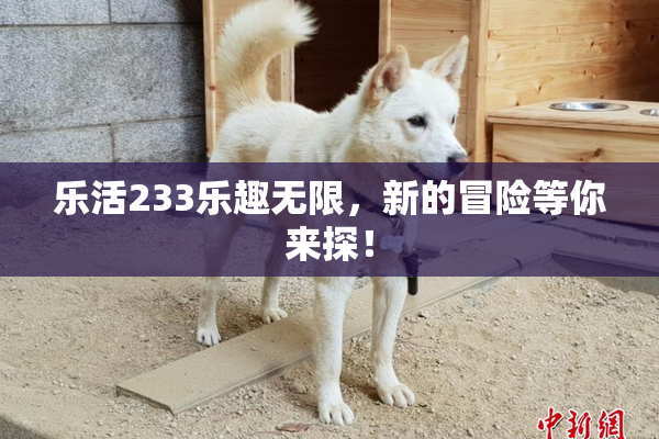 乐活233乐趣无限，新的冒险等你来探！