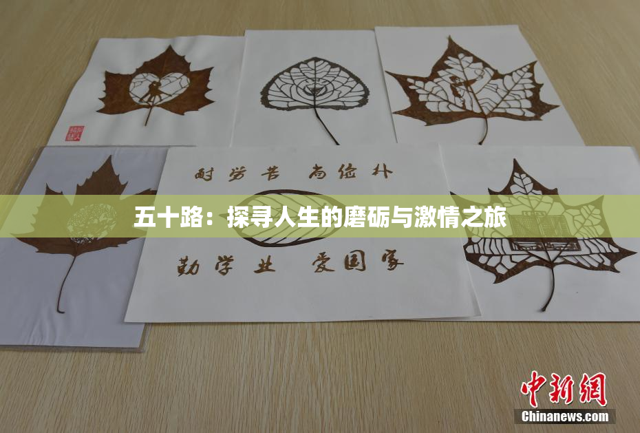 五十路：探寻人生的磨砺与激情之旅