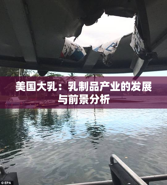 美国大乳：乳制品产业的发展与前景分析