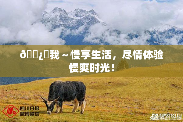 🌿‌我～慢享生活，尽情体验慢爽时光！
