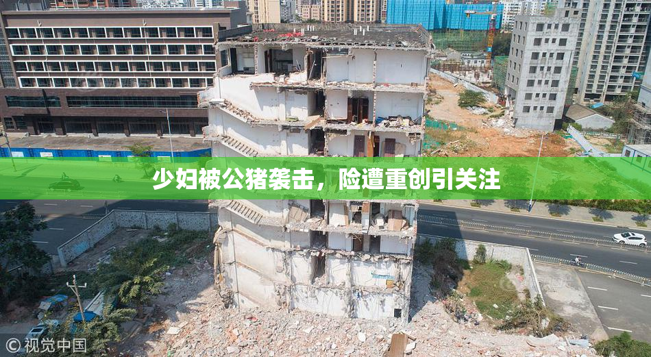 少妇被公猪袭击，险遭重创引关注
