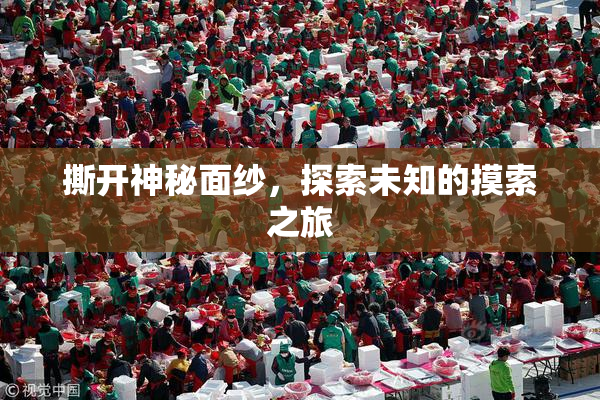撕开神秘面纱，探索未知的摸索之旅