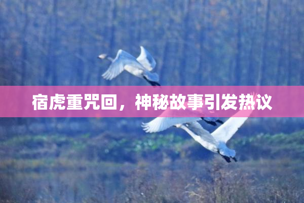 宿虎重咒回，神秘故事引发热议