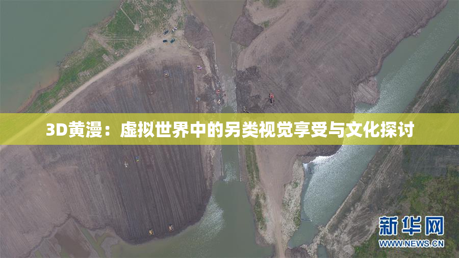 3D黄漫：虚拟世界中的另类视觉享受与文化探讨