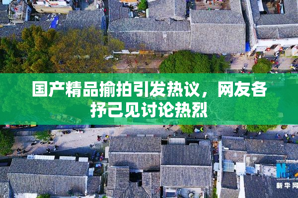 国产精品揄拍引发热议，网友各抒己见讨论热烈