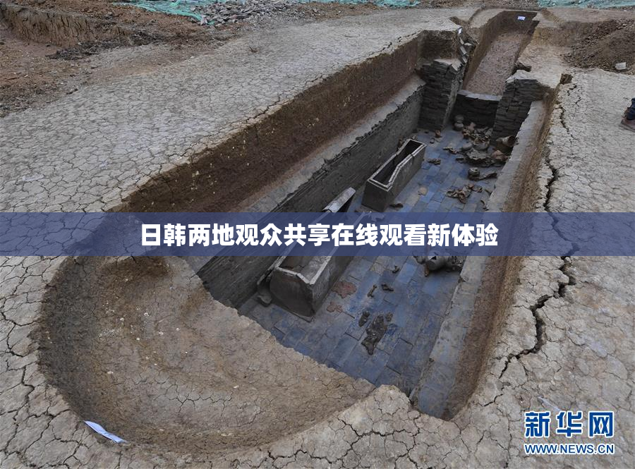日韩两地观众共享在线观看新体验
