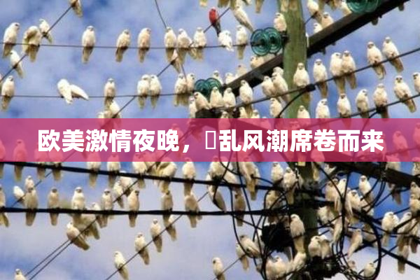 欧美激情夜晚，婬乱风潮席卷而来