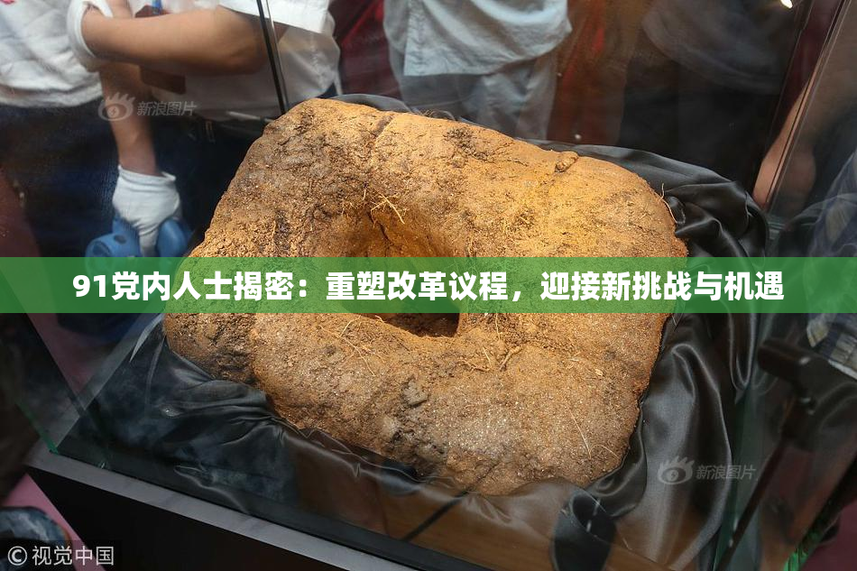 91党内人士揭密：重塑改革议程，迎接新挑战与机遇