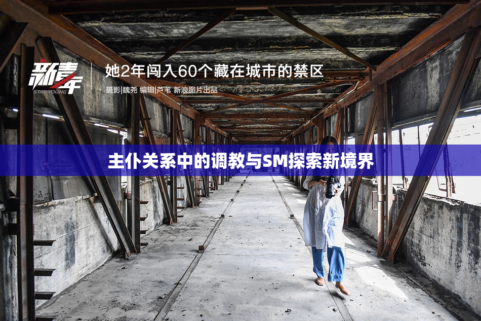 主仆关系中的调教与SM探索新境界