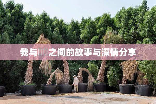 我与妺妺之间的故事与深情分享