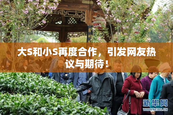 大S和小S再度合作，引发网友热议与期待！