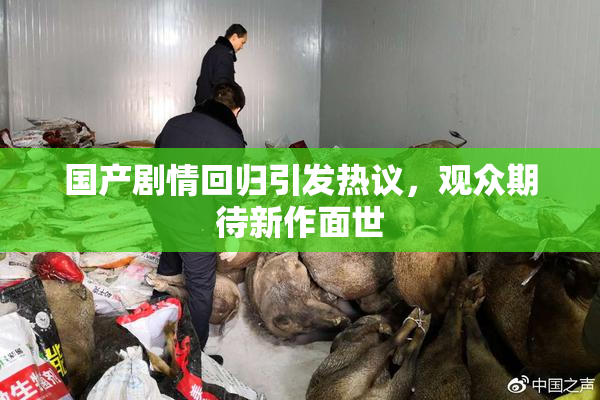 国产剧情回归引发热议，观众期待新作面世