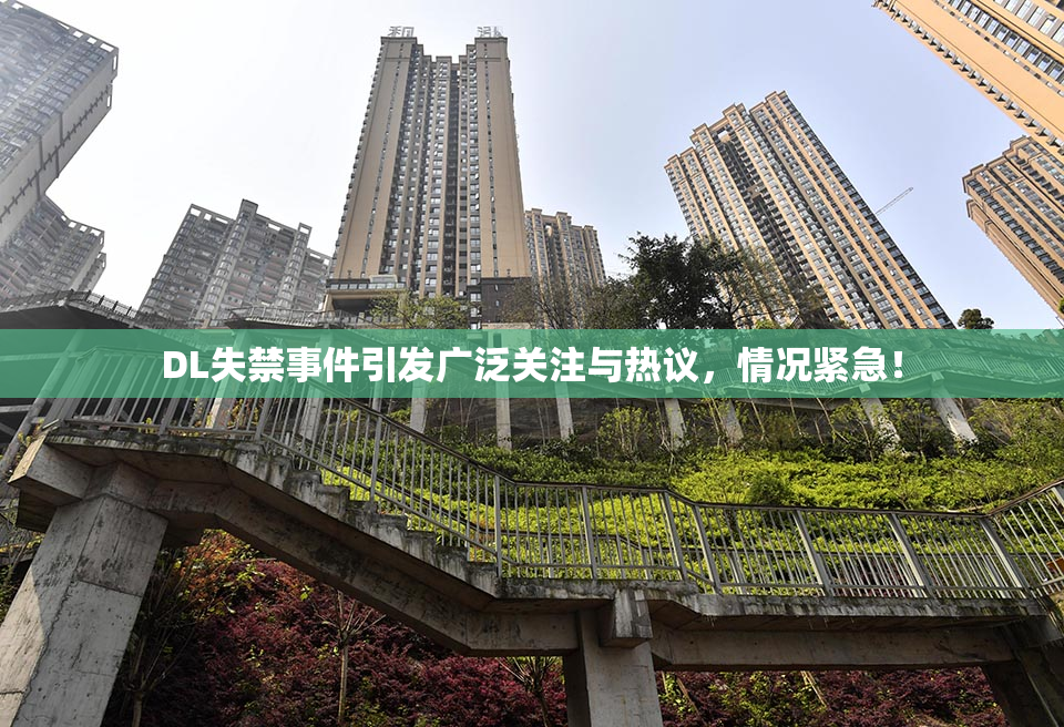 DL失禁事件引发广泛关注与热议，情况紧急！