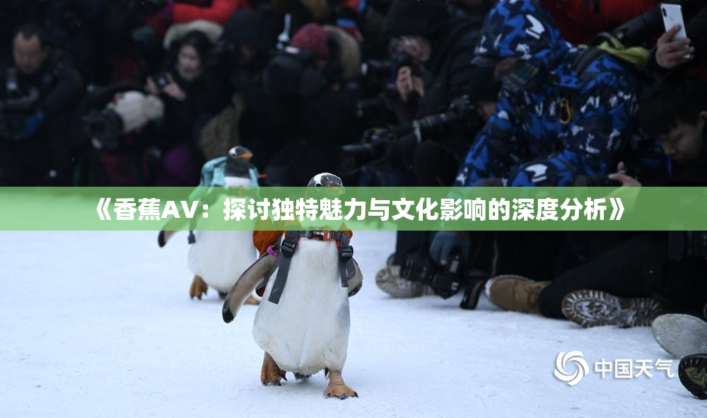 《香蕉AV：探讨独特魅力与文化影响的深度分析》