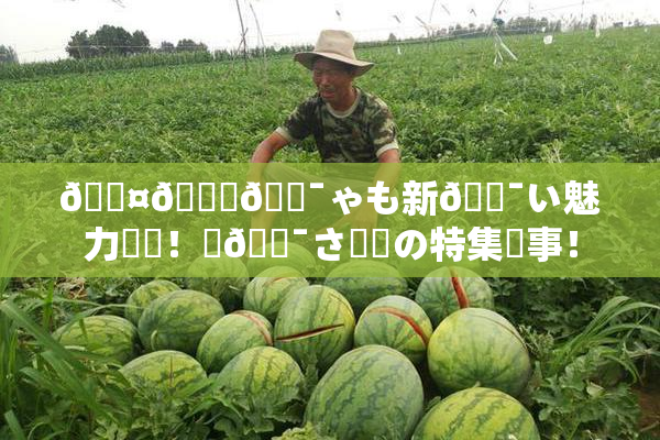 🖤🌃🔯ゃも新🔯い魅力発見！楽🔯さ満載の特集記事！