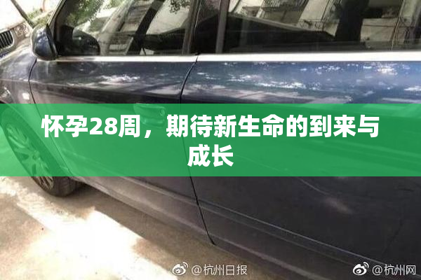 怀孕28周，期待新生命的到来与成长
