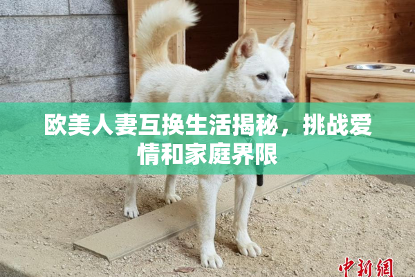 欧美人妻互换生活揭秘，挑战爱情和家庭界限