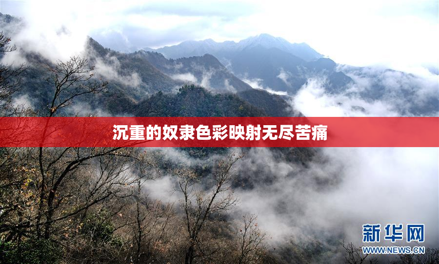 沉重的奴隶色彩映射无尽苦痛