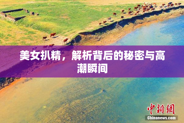 美女扒精，解析背后的秘密与高潮瞬间