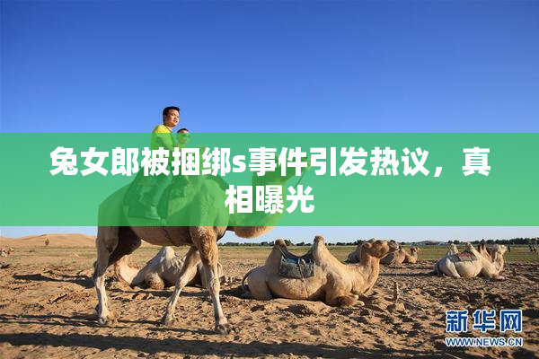 兔女郎被捆绑s事件引发热议，真相曝光