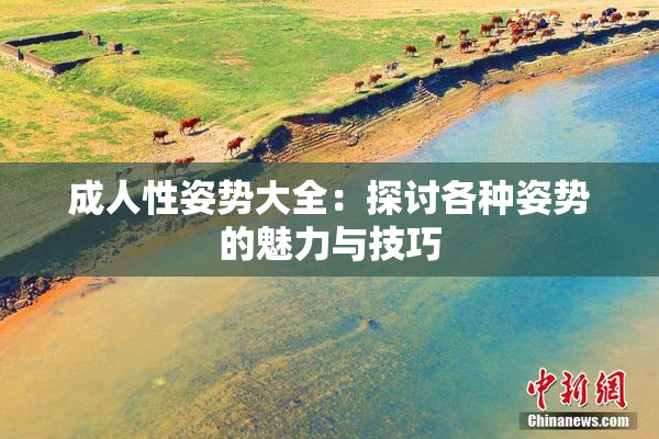 成人性姿势大全：探讨各种姿势的魅力与技巧