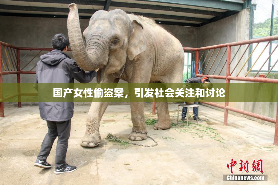 国产女性偷盗案，引发社会关注和讨论