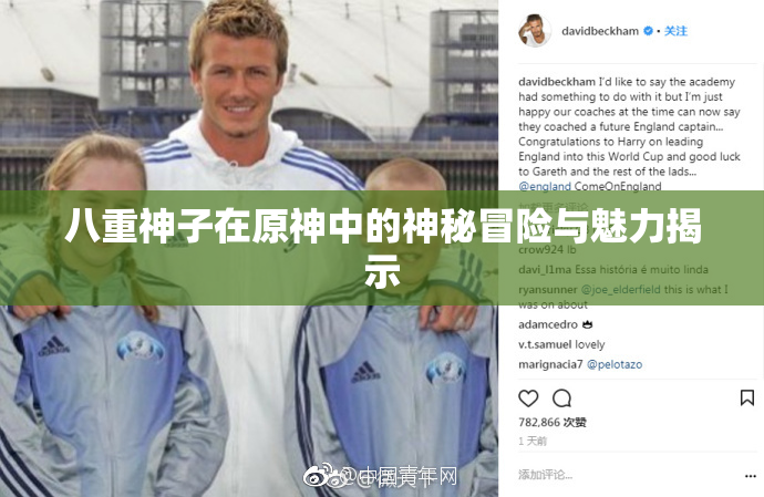 八重神子在原神中的神秘冒险与魅力揭示