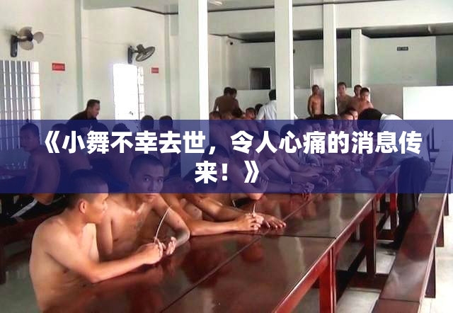 《小舞不幸去世，令人心痛的消息传来！》